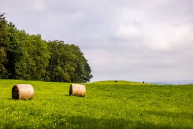 Eisenach yakınlarındaki Ejderha Vadisi 'nde yaz yürüyüşü - Thüringen - Almanya