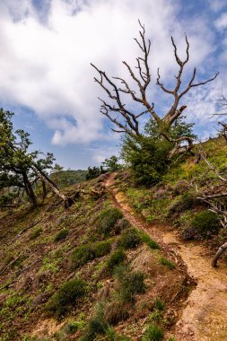 Eisenach yakınlarındaki Ejderha Vadisi 'nde yaz yürüyüşü - Thüringen - Almanya