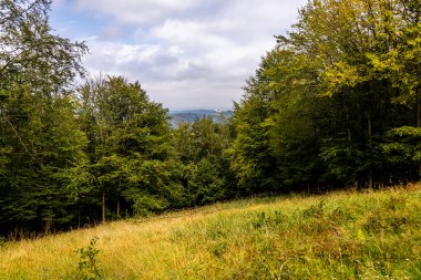 Eisenach yakınlarındaki Ejderha Vadisi 'nde yaz yürüyüşü - Thüringen - Almanya