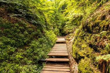 Eisenach yakınlarındaki Ejderha Vadisi 'nde yaz yürüyüşü - Thüringen - Almanya