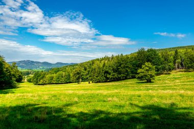 Schmalkalden ve büyüleyici çevresi Thüringen-Almanya 'da yarım yamalak bir bisiklet turu.