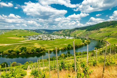 Bremm-Rhineland-Palatinate yakınlarındaki Moselle bölgesinde kısa bir keşif turu Almanya