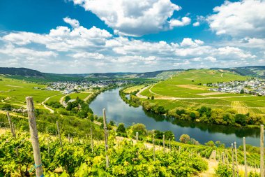 Bremm-Rhineland-Palatinate yakınlarındaki Moselle bölgesinde kısa bir keşif turu Almanya