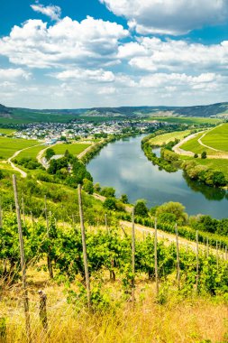 Bremm-Rhineland-Palatinate yakınlarındaki Moselle bölgesinde kısa bir keşif turu Almanya