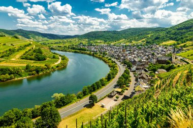 Bremm-Rhineland-Palatinate yakınlarındaki Moselle bölgesinde kısa bir keşif turu Almanya
