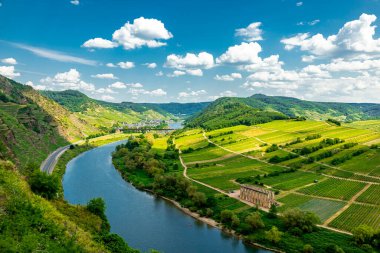 Bremm-Rhineland-Palatinate yakınlarındaki Moselle bölgesinde kısa bir keşif turu Almanya
