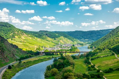 Bremm-Rhineland-Palatinate yakınlarındaki Moselle bölgesinde kısa bir keşif turu Almanya