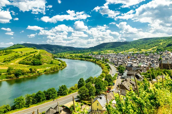 Short Discovery Tour Moselle Region Bremm Rhineland Palatinate Germany — Stock Photo, Image