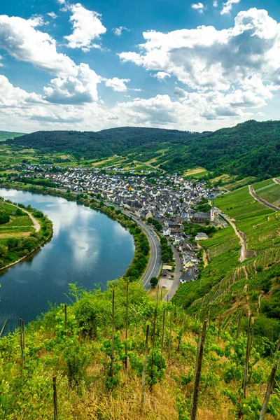 Excursion Découverte Dans Moselle Près Bremm Rhénanie Palatinat Allemagne — Photo