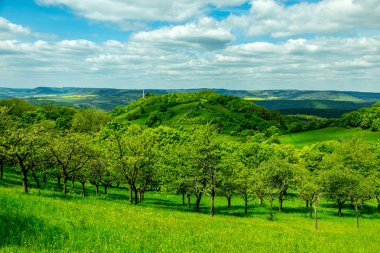 Kahla-Thüringen yakınlarındaki güzel Leuchtenburg 'a Saale Vadisi' nde yaz yürüyüşü turu.