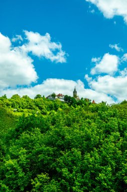Kahla-Thüringen yakınlarındaki güzel Leuchtenburg 'a Saale Vadisi' nde yaz yürüyüşü turu.