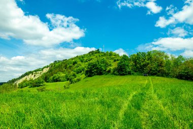 Kahla-Thüringen yakınlarındaki güzel Leuchtenburg 'a Saale Vadisi' nde yaz yürüyüşü turu.