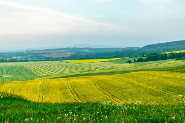Yaz bisikletiyle Schmalkalden kırsalından geçip Fambach, Thüringen ve Almanya yakınlarındaki Werratal 'a gidiyoruz.