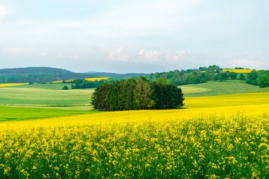 Yaz bisikletiyle Schmalkalden kırsalından geçip Fambach, Thüringen ve Almanya yakınlarındaki Werratal 'a gidiyoruz.