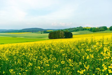 Yaz bisikletiyle Schmalkalden kırsalından geçip Fambach, Thüringen ve Almanya yakınlarındaki Werratal 'a gidiyoruz.