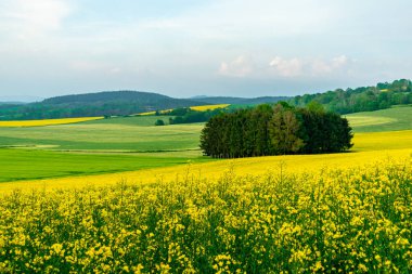 Yaz bisikletiyle Schmalkalden kırsalından geçip Fambach, Thüringen ve Almanya yakınlarındaki Werratal 'a gidiyoruz.