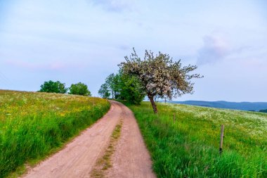 Yaz bisikletiyle Schmalkalden kırsalından geçip Fambach, Thüringen ve Almanya yakınlarındaki Werratal 'a gidiyoruz.