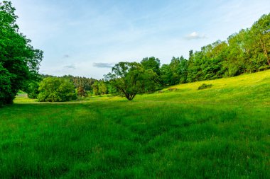 Yaz keşfi turu Steinbach-Hallenberg yakınlarındaki Thuringian Ormanı 'nda