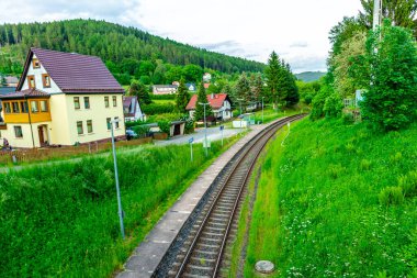 Yaz keşfi turu Steinbach-Hallenberg yakınlarındaki Thuringian Ormanı 'nda