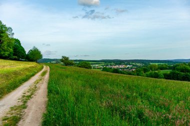 Yaz keşfi turu Steinbach-Hallenberg yakınlarındaki Thuringian Ormanı 'nda