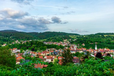 Yaz keşfi turu Steinbach-Hallenberg yakınlarındaki Thuringian Ormanı 'nda