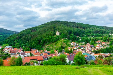 Yaz keşfi turu Steinbach-Hallenberg yakınlarındaki Thuringian Ormanı 'nda