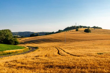 Thuringian Ormanı 'nın yüksek patikasında yaz yürüyüşü - Thüringen - Almanya