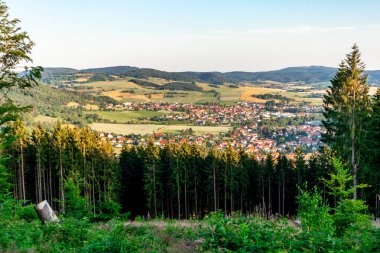 Thuringian Ormanı 'nın yüksek patikasında yaz yürüyüşü - Thüringen - Almanya
