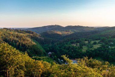 Thuringian Ormanı 'nın yüksek patikasında yaz yürüyüşü - Thüringen - Almanya