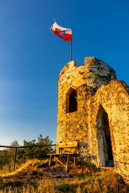 Thuringian Ormanı 'nın yüksek patikasında yaz yürüyüşü - Thüringen - Almanya