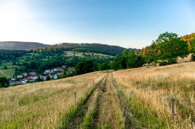 Thuringian Ormanı 'nın yüksek patikasında yaz yürüyüşü - Thüringen - Almanya