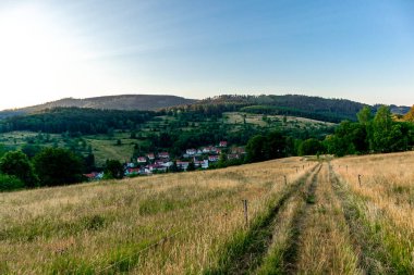 Thuringian Ormanı 'nın yüksek patikasında yaz yürüyüşü - Thüringen - Almanya