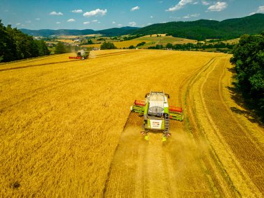 Schmalkalden yakınlarında yaz sonu tahıl hasadı - Thüringen - Almanya