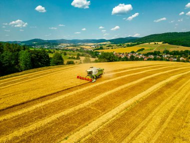 Schmalkalden yakınlarında yaz sonu tahıl hasadı - Thüringen - Almanya