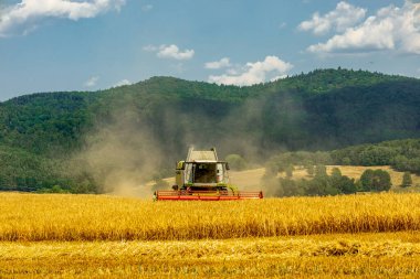Schmalkalden yakınlarında yaz sonu tahıl hasadı - Thüringen - Almanya