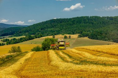 Schmalkalden yakınlarında yaz sonu tahıl hasadı - Thüringen - Almanya