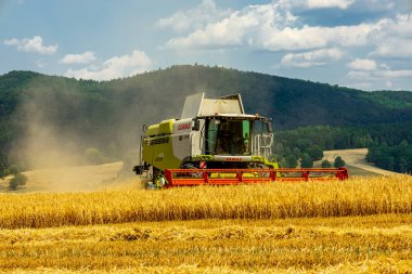 Schmalkalden yakınlarında yaz sonu tahıl hasadı - Thüringen - Almanya
