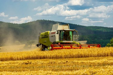 Schmalkalden yakınlarında yaz sonu tahıl hasadı - Thüringen - Almanya