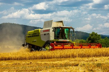 Schmalkalden yakınlarında yaz sonu tahıl hasadı - Thüringen - Almanya