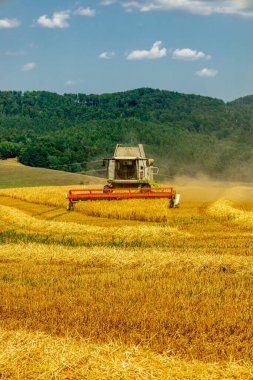 Schmalkalden yakınlarında yaz sonu tahıl hasadı - Thüringen - Almanya