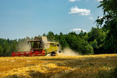 Schmalkalden yakınlarında yaz sonu tahıl hasadı - Thüringen - Almanya