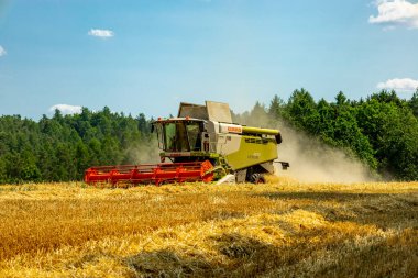Schmalkalden yakınlarında yaz sonu tahıl hasadı - Thüringen - Almanya