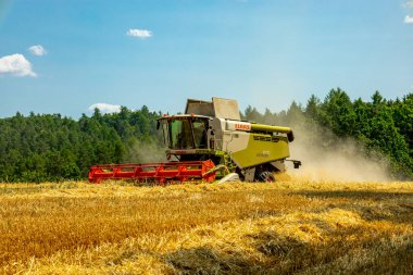 Schmalkalden yakınlarında yaz sonu tahıl hasadı - Thüringen - Almanya