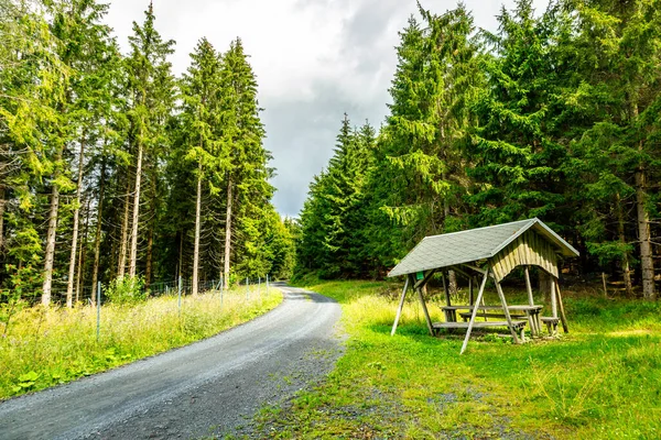 stock image Summer walk on the high trail of the Thuringian Forest - Thuringia - Germany