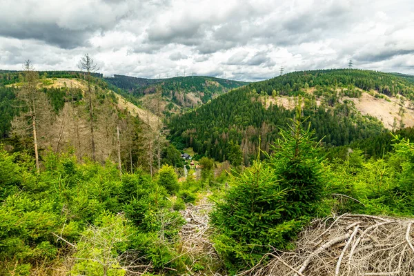 Sommerwanderung Auf Dem Höhenweg Des Thüringer Waldes Thüringen Deutschland — Stockfoto