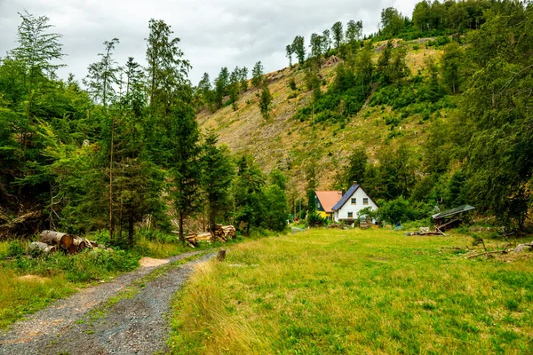 Sommerwanderung Auf Dem Höhenweg Des Thüringer Waldes Thüringen Deutschland — Stockfoto