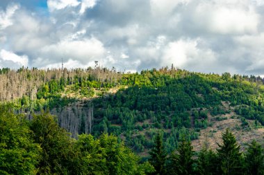 Ruhla - Thüringen - Almanya yakınlarındaki Thuringian Ormanı 'nda yaz yürüyüşü