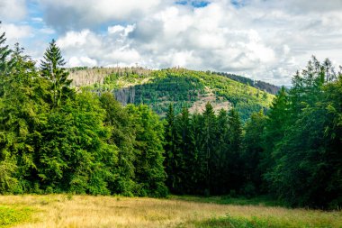 Ruhla - Thüringen - Almanya yakınlarındaki Thuringian Ormanı 'nda yaz yürüyüşü