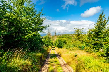 Ruhla - Thüringen - Almanya yakınlarındaki Thuringian Ormanı 'nda yaz yürüyüşü