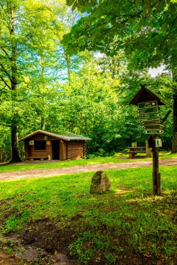 Ruhla - Thüringen - Almanya yakınlarındaki Thuringian Ormanı 'nda yaz yürüyüşü